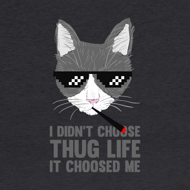 Thug Life CAT | I didn't choose THUG LIFE | Funny Cat by FLINE